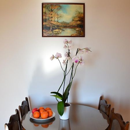 Apartment Matea Petrovac Eksteriør billede